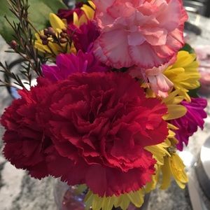 Meet your Posher, Marie